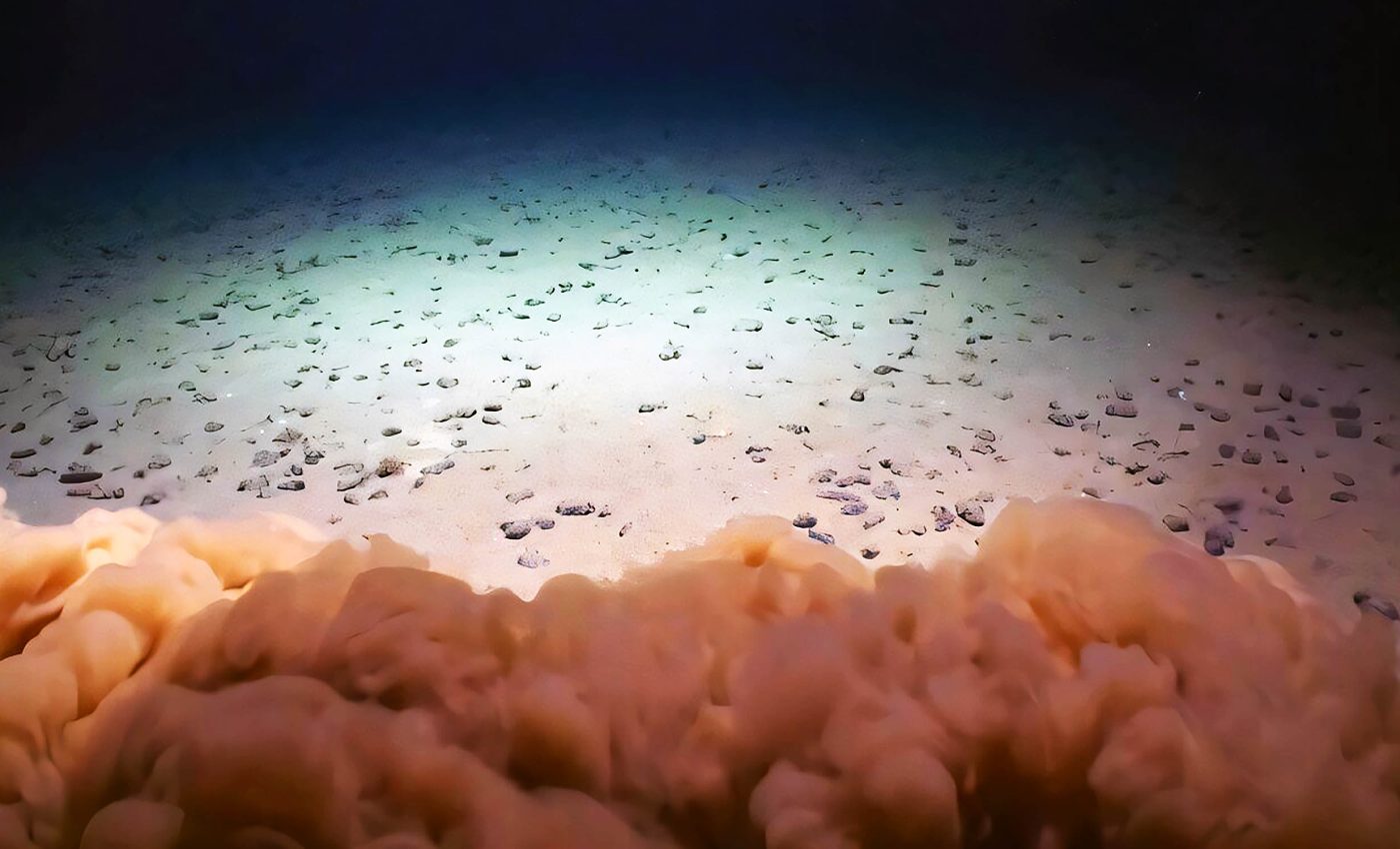 Deep-sea gold rush: Extraction of these small 'rocks' on the ocean floor is causing great controversy
