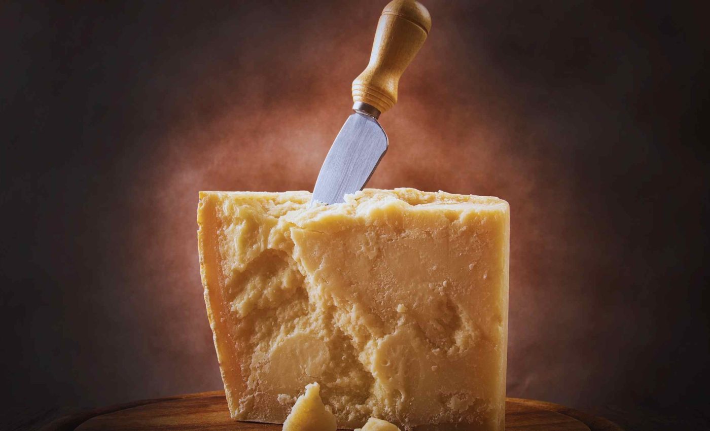 Live avian influenza virus survives in cheese made of milk from infected cows