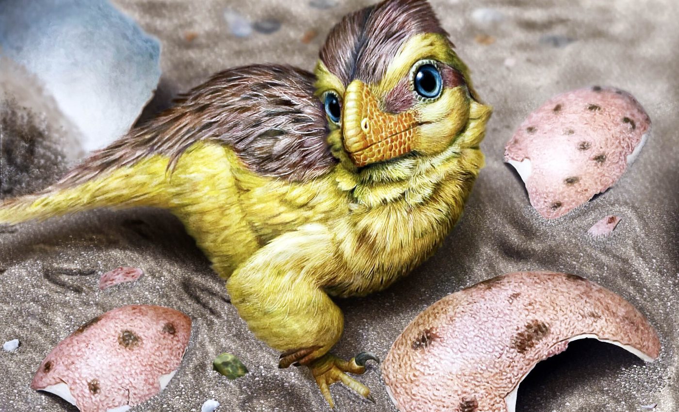 New cutting-edge tech allows precise dating of fossilized dinosaur eggshells