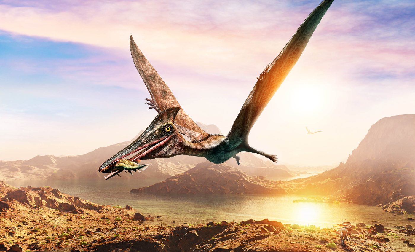 Ancient fossil proves some pterosaurs preferred eating plants over meat