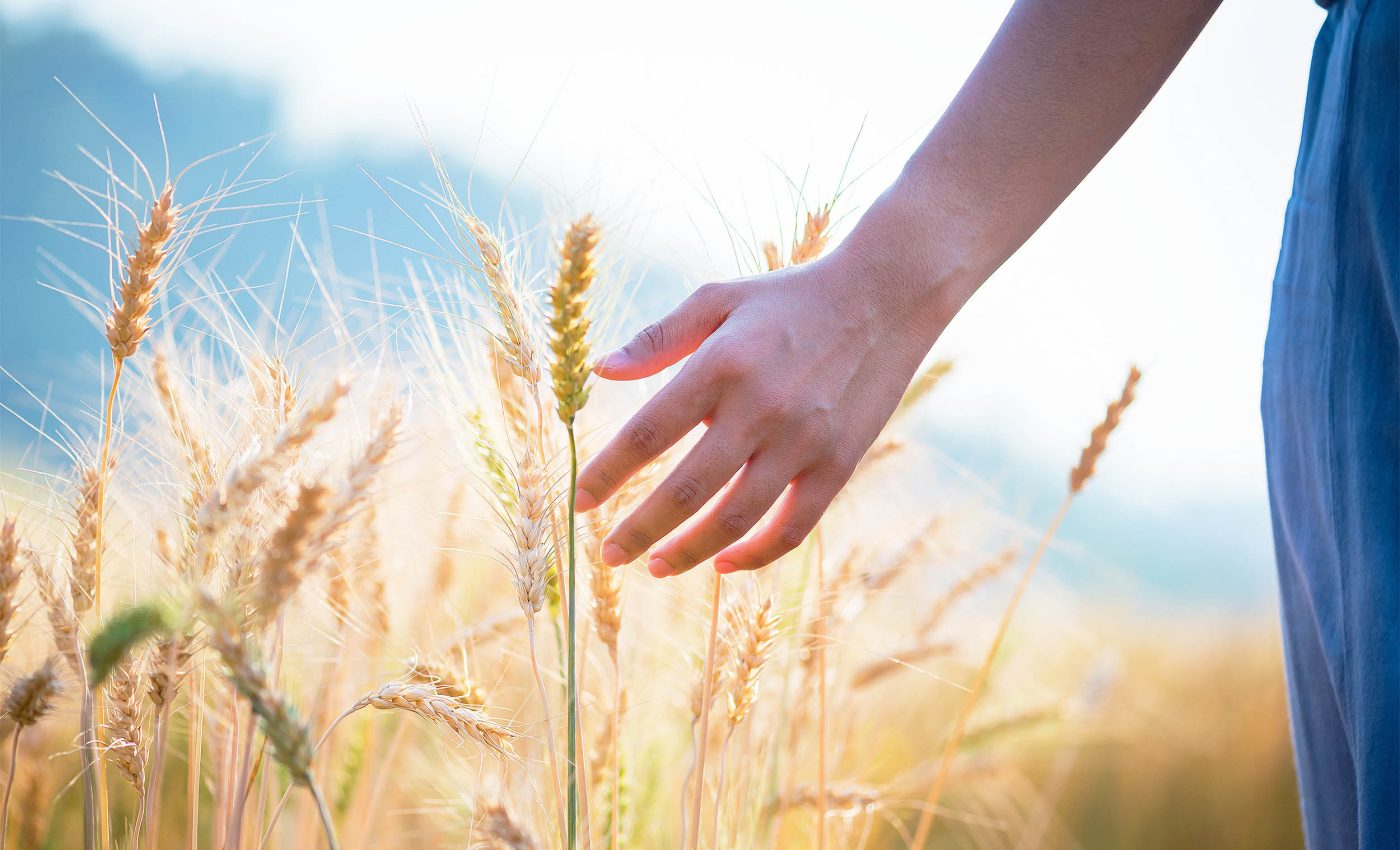 Scientists confirm humans have a remarkable 'seventh sense' ability of remote touch