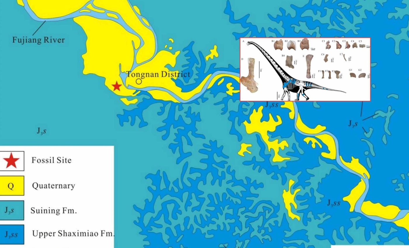 Colossal dinosaur measuring 92-feet-long challenges the limits of imagination