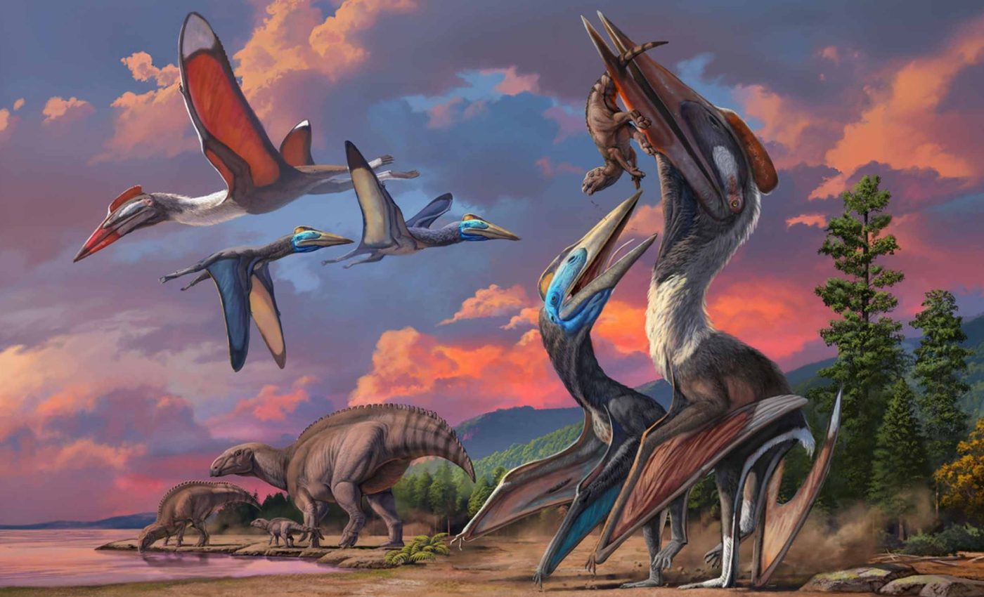 Two very different pterosaur species discovered sharing an ecosystem