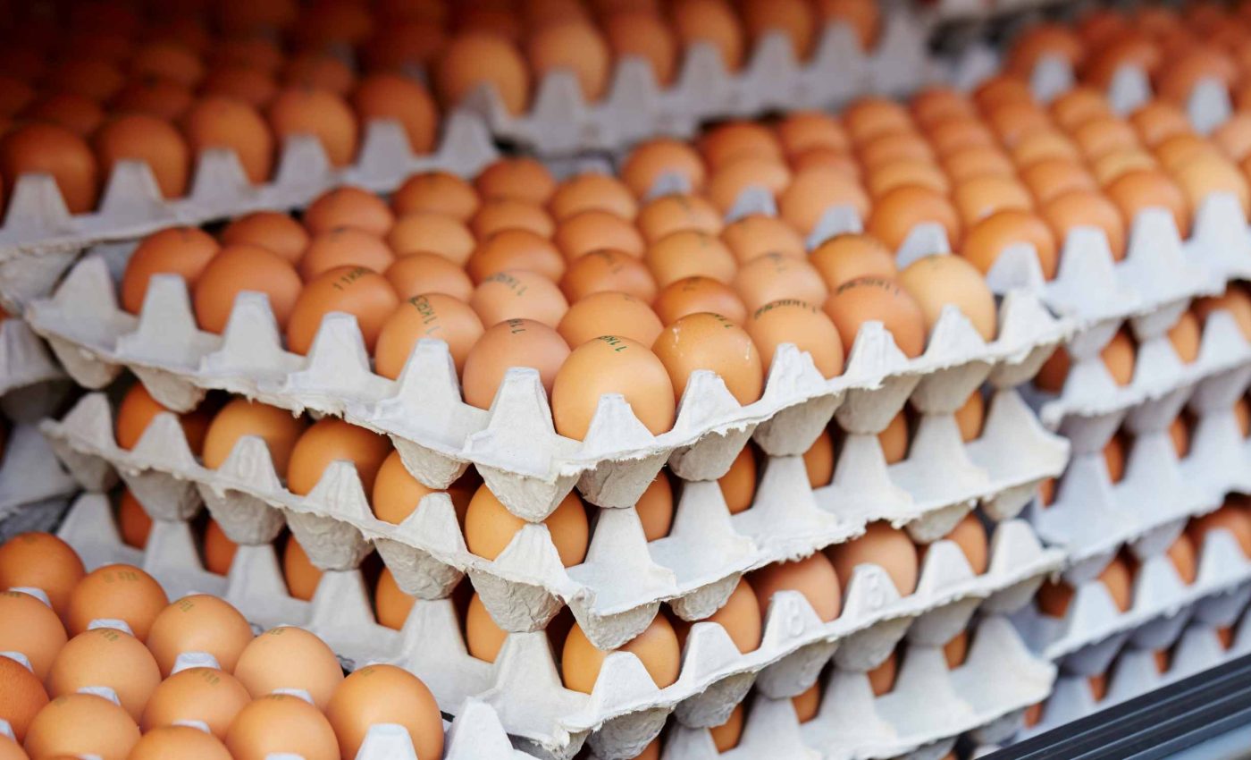 FDA is recalling over 6 million eggs due to salmonella contamination