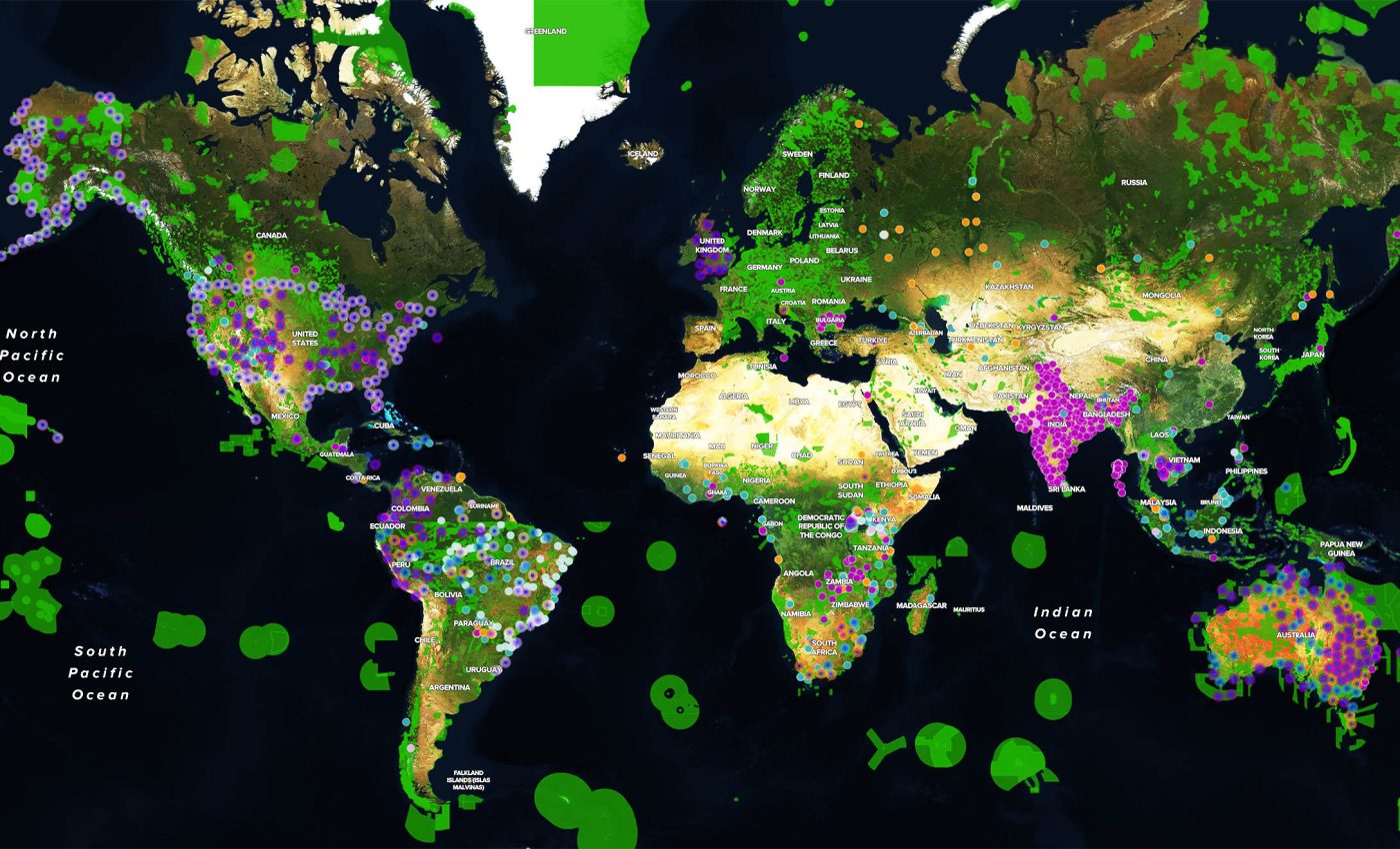 UN warns the world is letting conservation projects fade away, reversing solid progress
