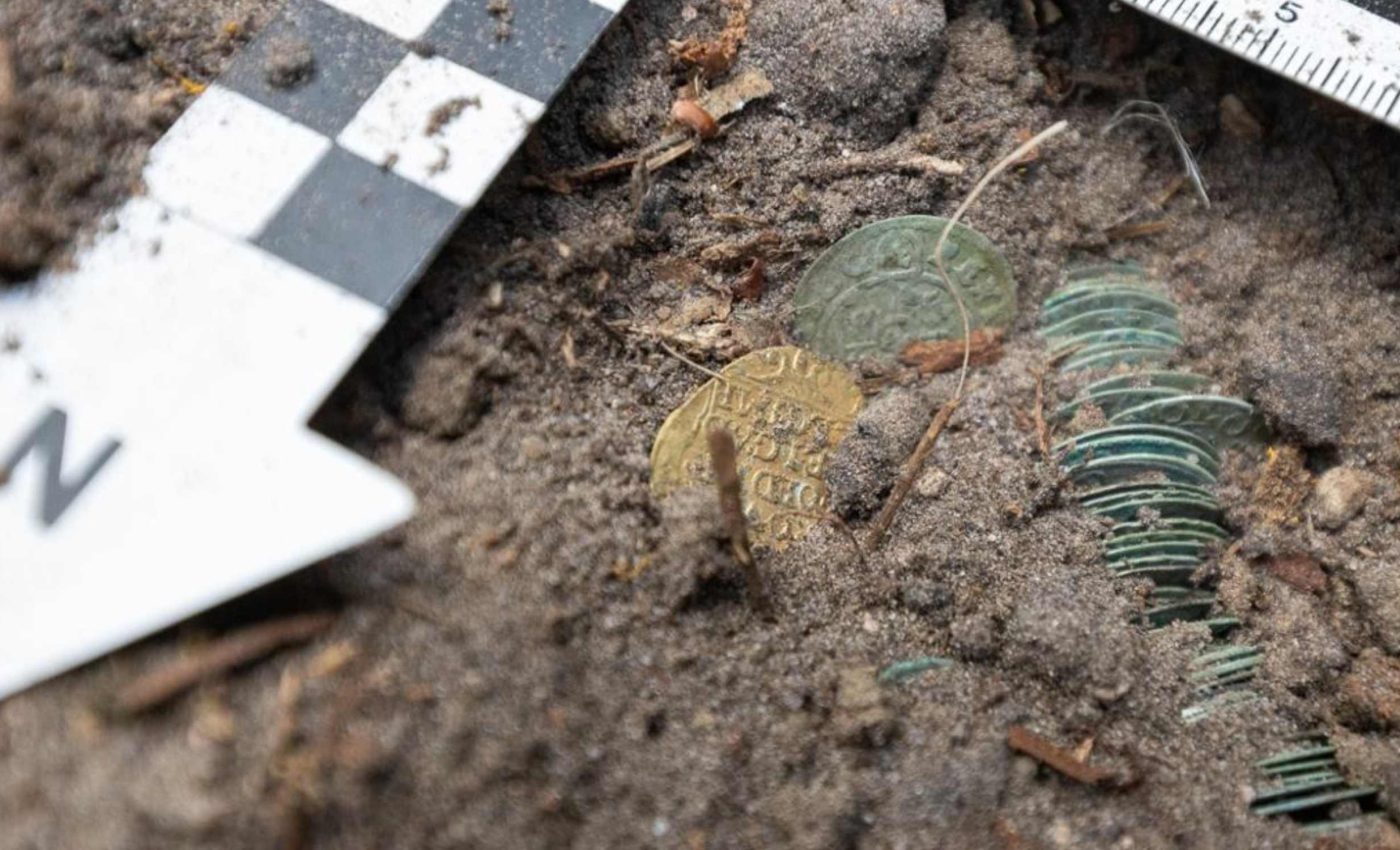 Discovery of gold and silver coins hidden in a forest leaves archaeologists speechless