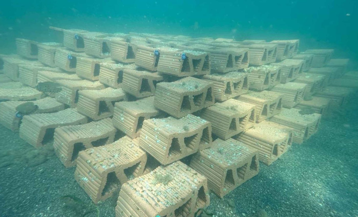 Officials are installing a pioneering artificial reef with native oysters