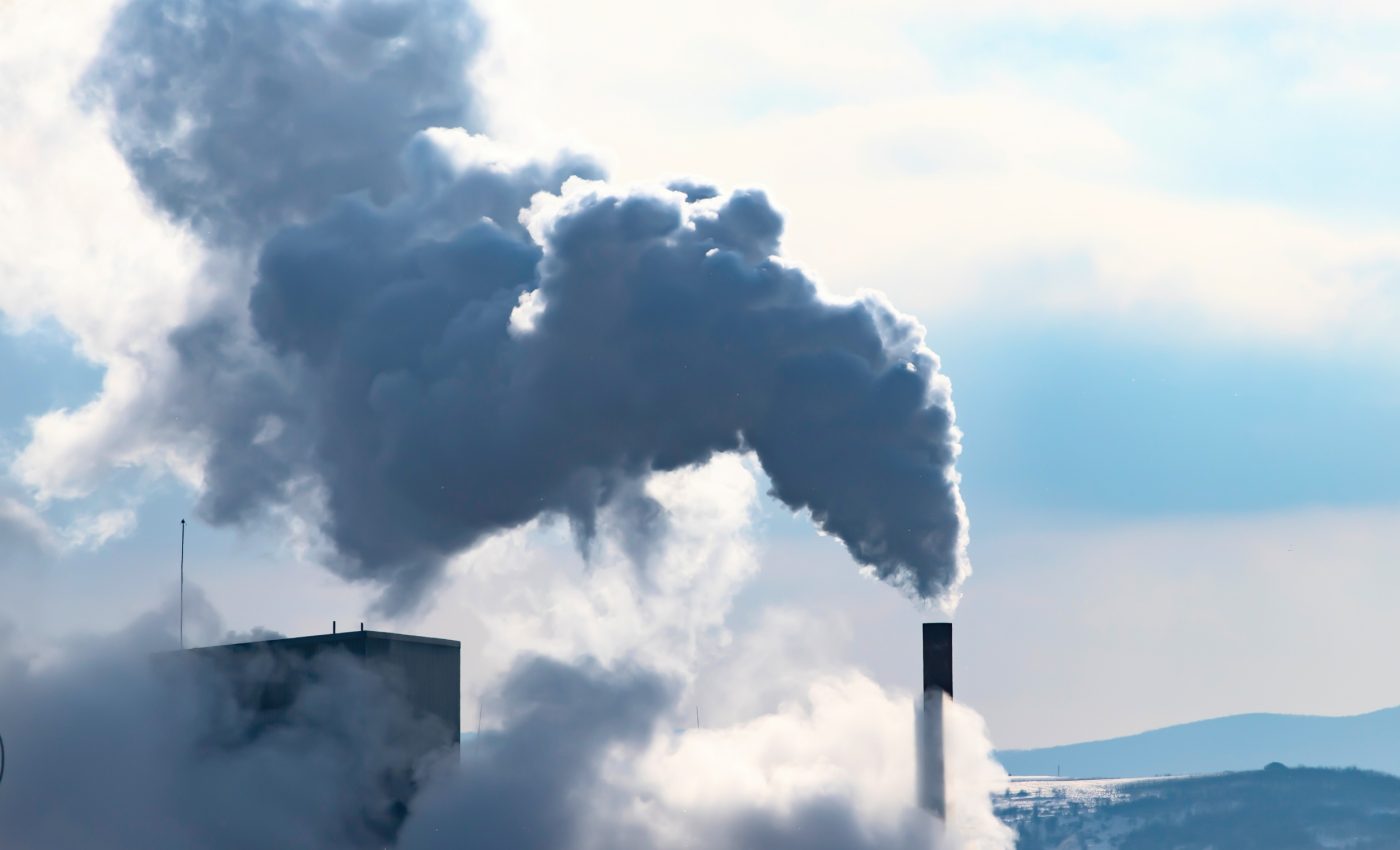 COP30 warning: Countries are leaning on forests instead of cutting fossil fuels