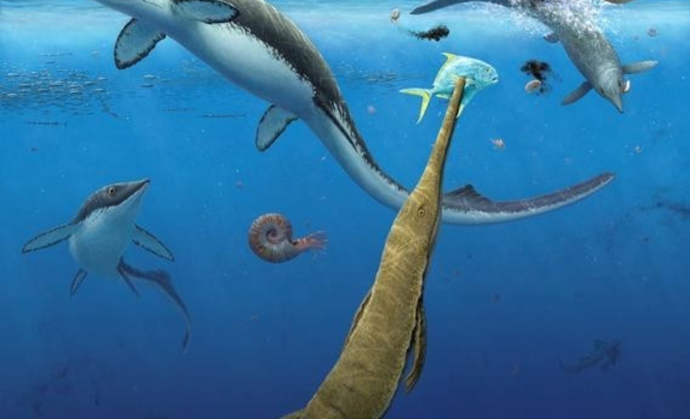 Ocean life rebounded quickly after Earth’s worst extinction event