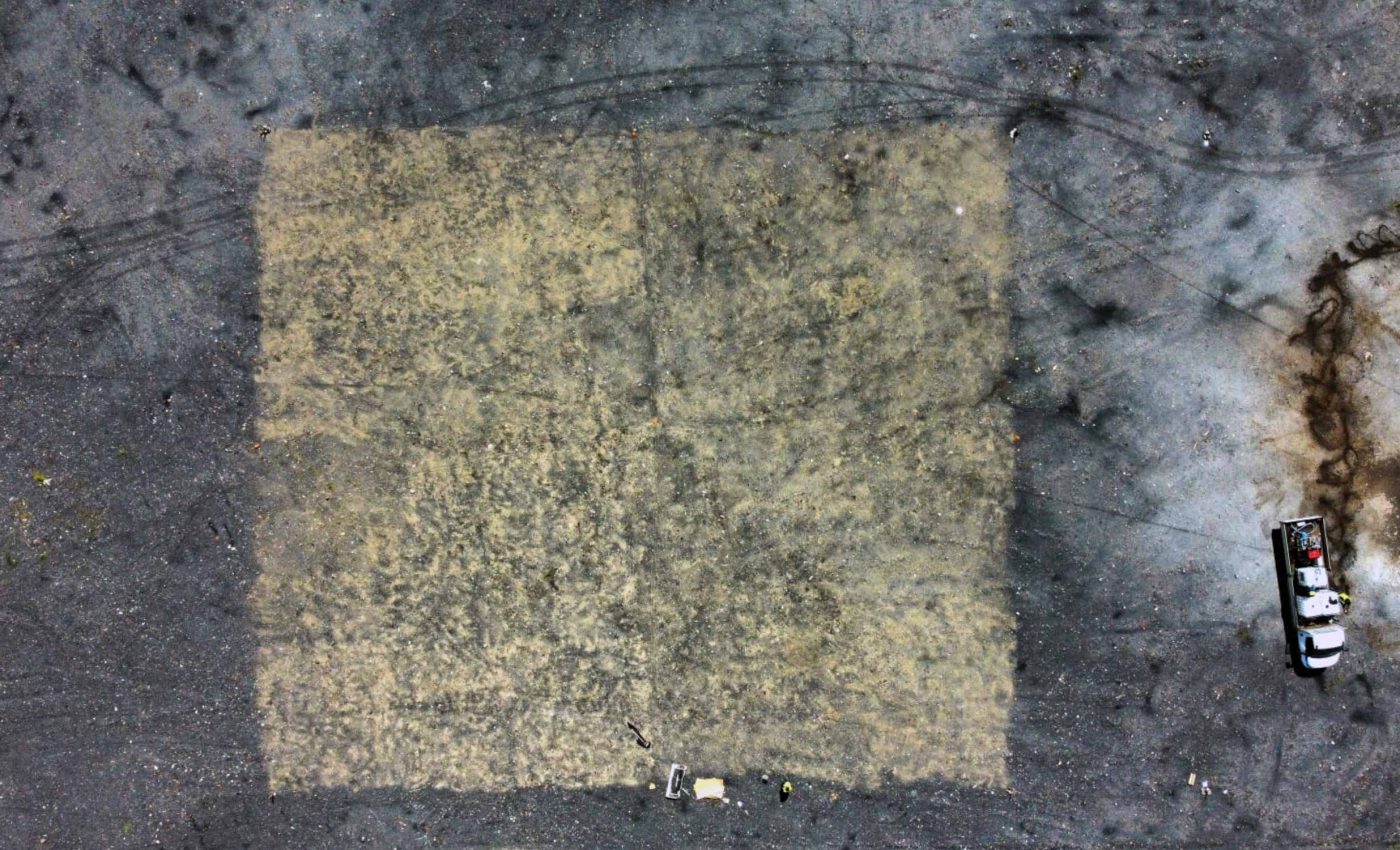 Scientists use organic additive to turn hazardous mining waste dump into a blooming meadow