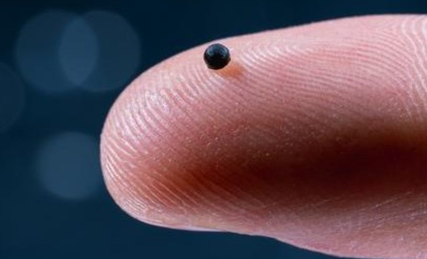 Microrobots can deliver stroke drugs directly to blocked vessels