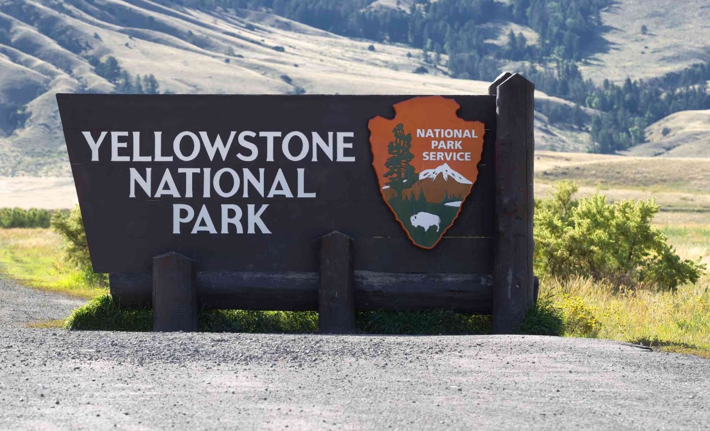 Unexpected twist: what you thought about Yellowstone wolves was a myth
