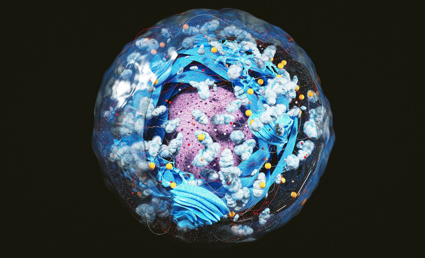 Scientists discover a 'mortality timer' inside human cells