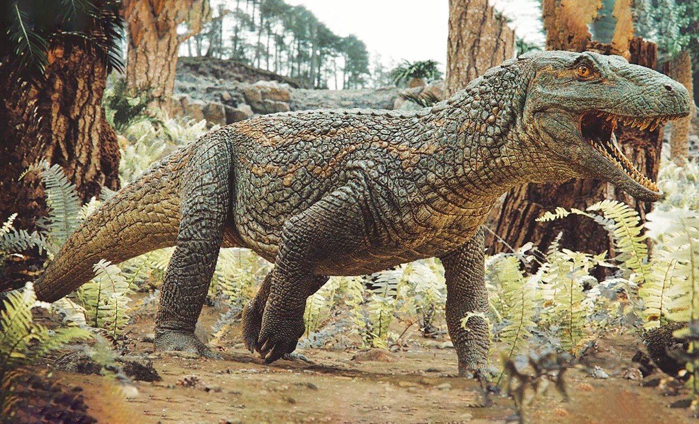 Long before dinosaurs, this fierce crocodile ancestor dominated Earth