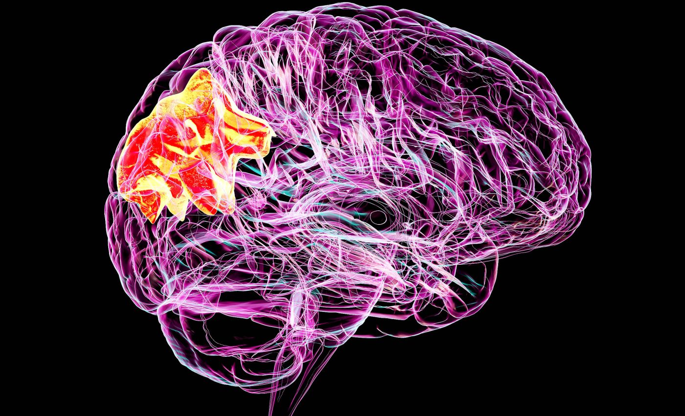 Scientists discover a way to erase bad memories