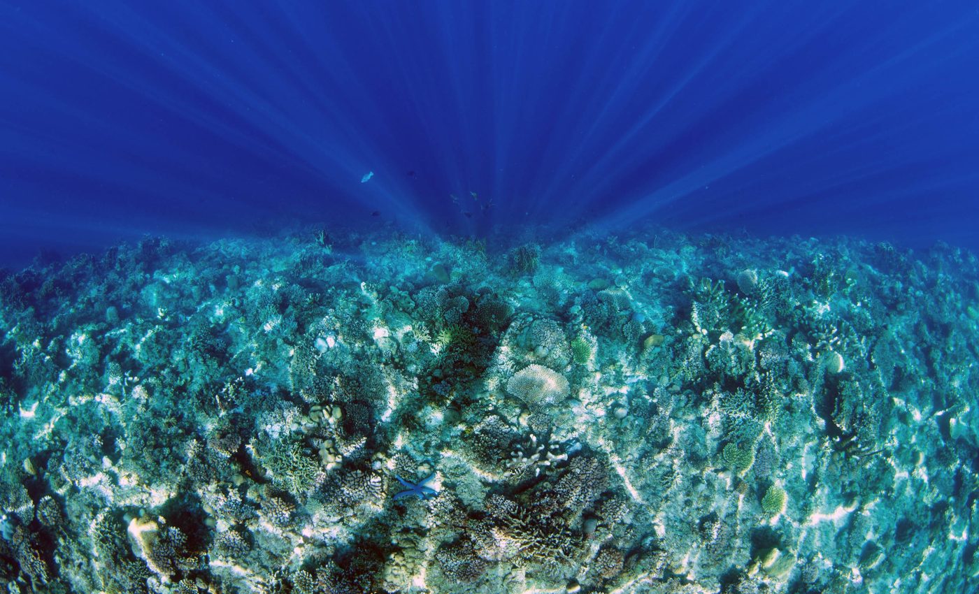 Massive structures discovered in the North Sea could change oil production and CO2 storage