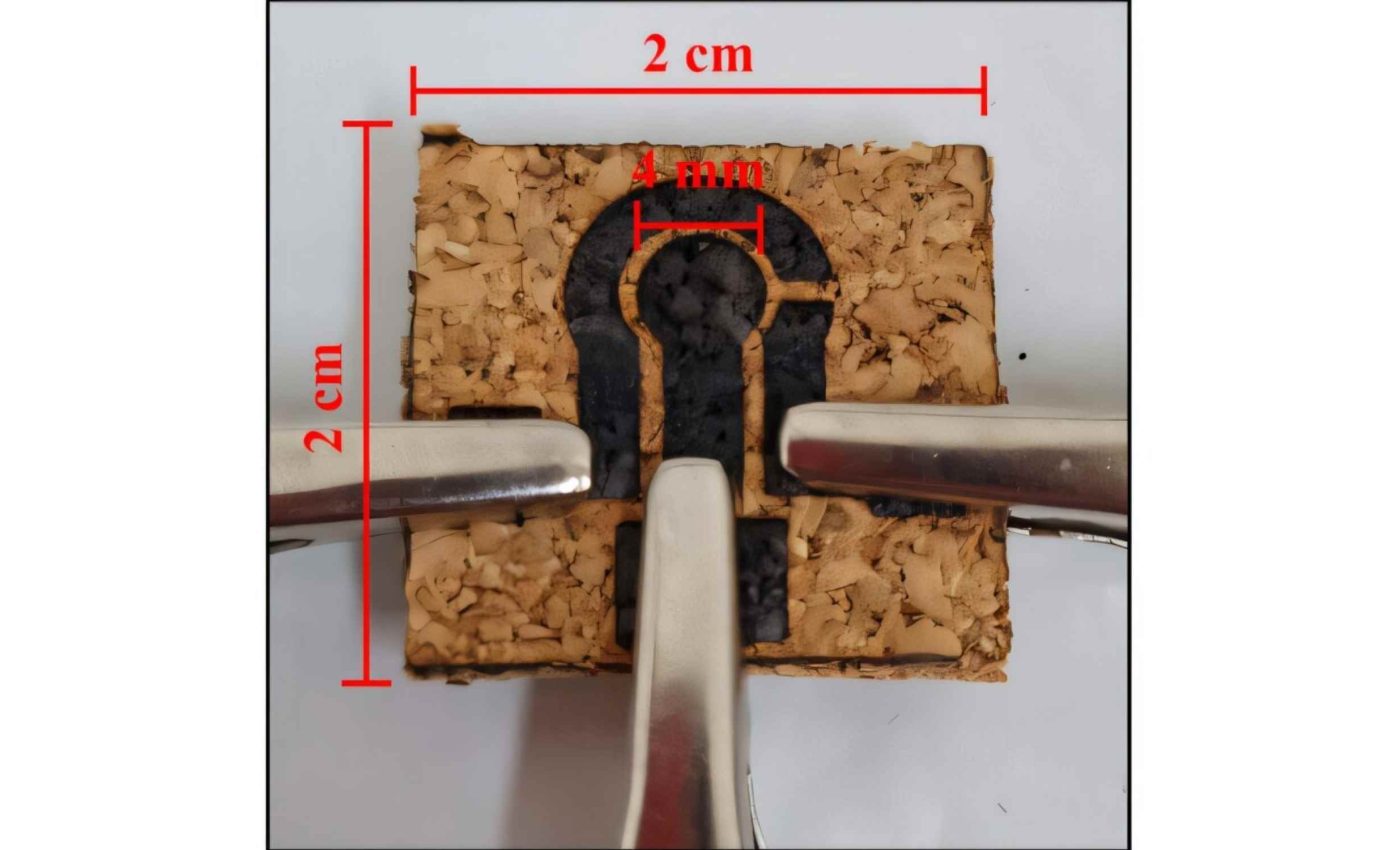 Cork converted into graphene using a laser to create toxin sensors