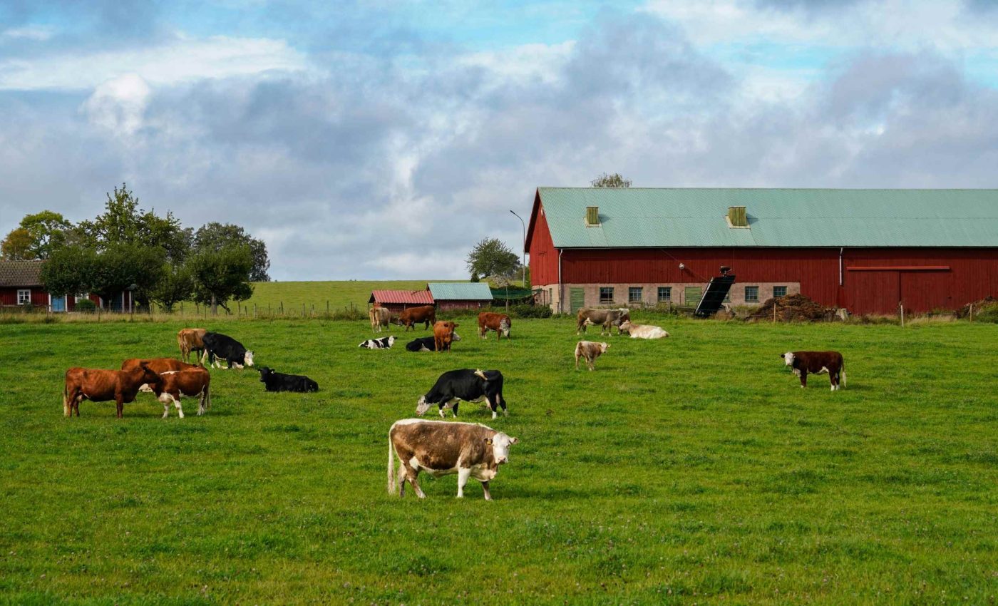 Simple soybean switch is revolutionizing farming
