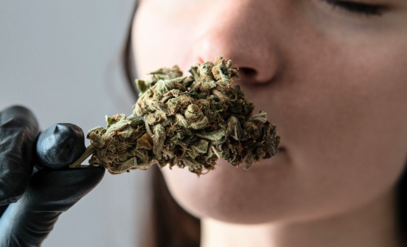 Smell beats strength in predicting what cannabis people choose