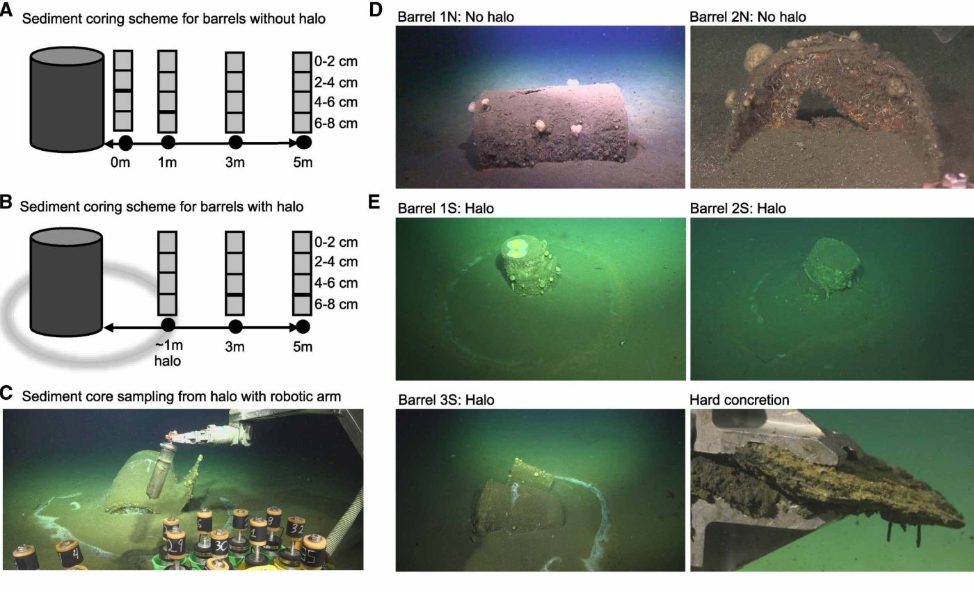 Barrels dumped off the coast of Los Angeles are so toxic that not even bacteria can survive