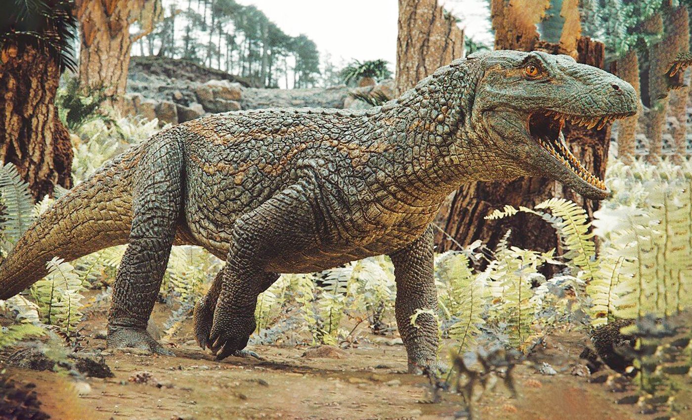 Fierce 'warrior' crocodile had plated armor and looked like a dinosaur