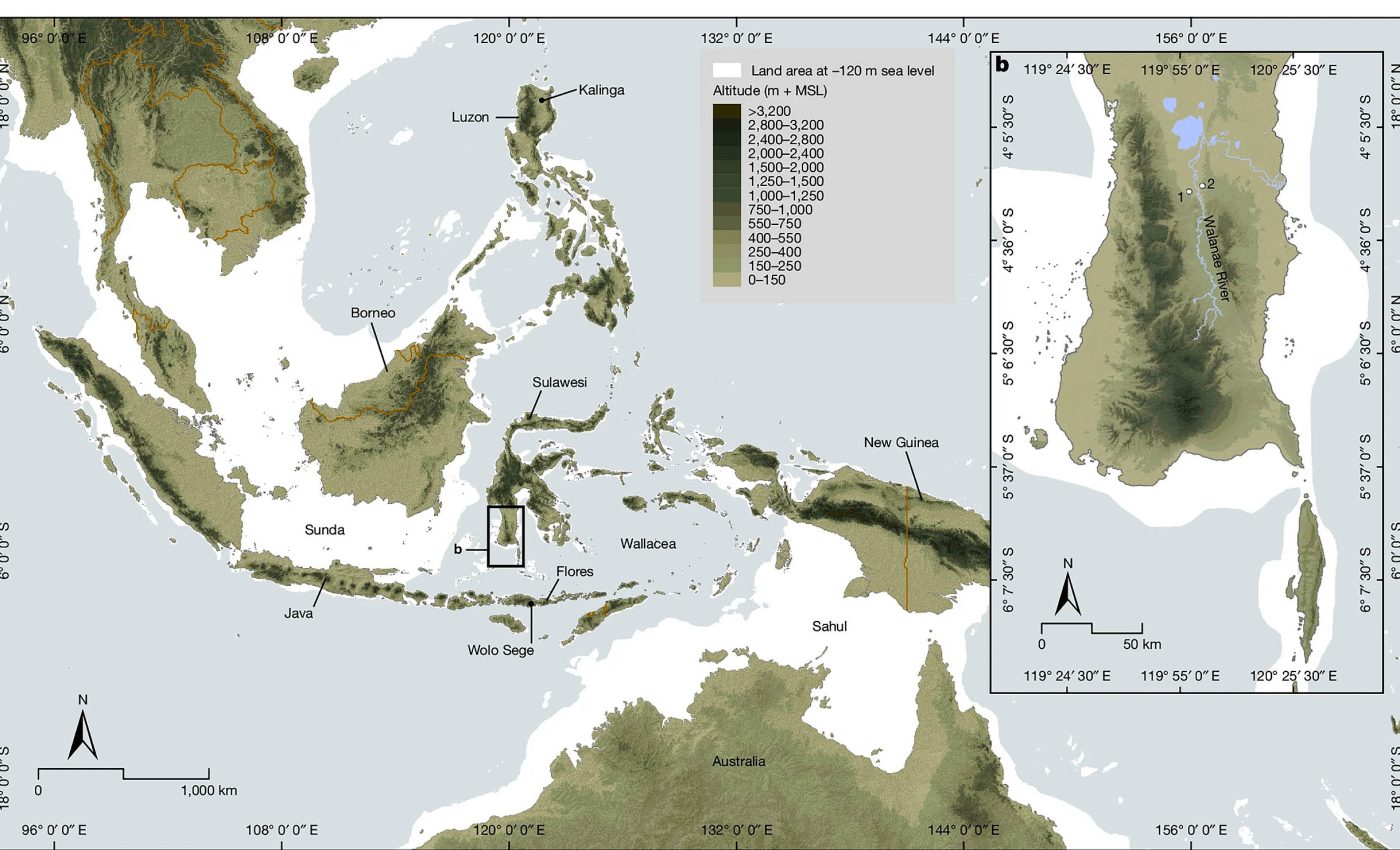 Discovery reveals human ancestors somehow sailed Earth's oceans over 1 million years ago