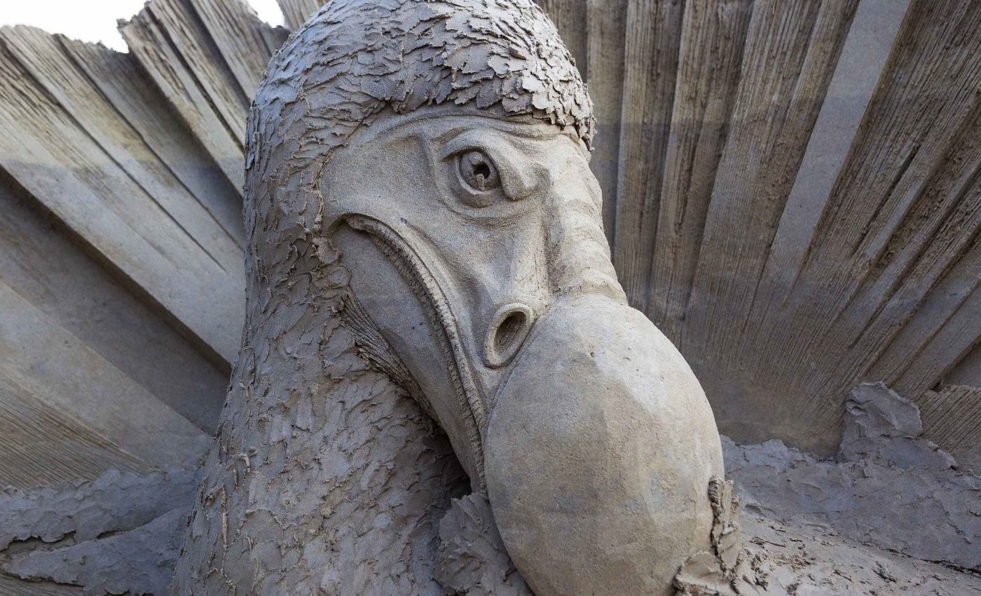 Genetic breakthrough paves the way for the return of the dodo bird