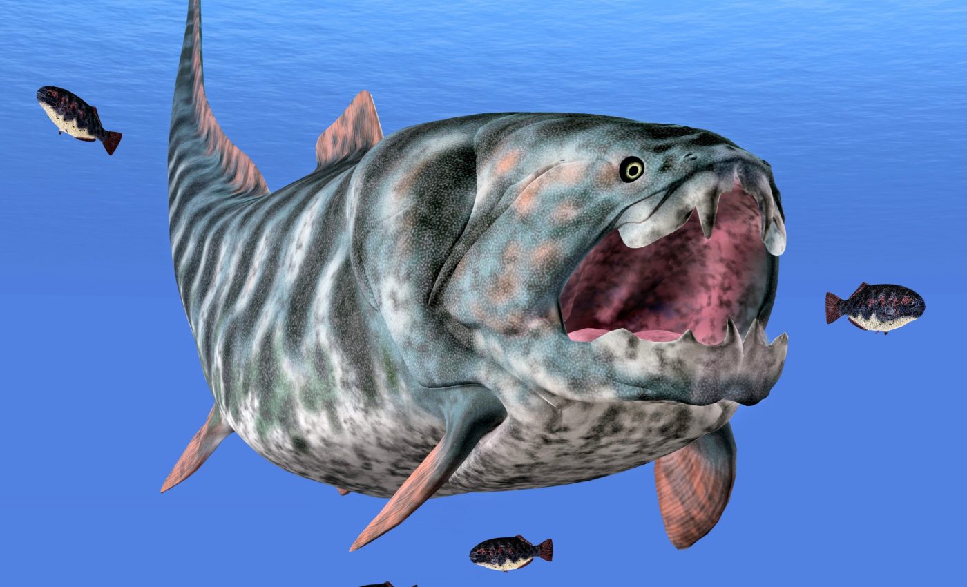 Legendary sea monster turns out to be even stranger than we thought