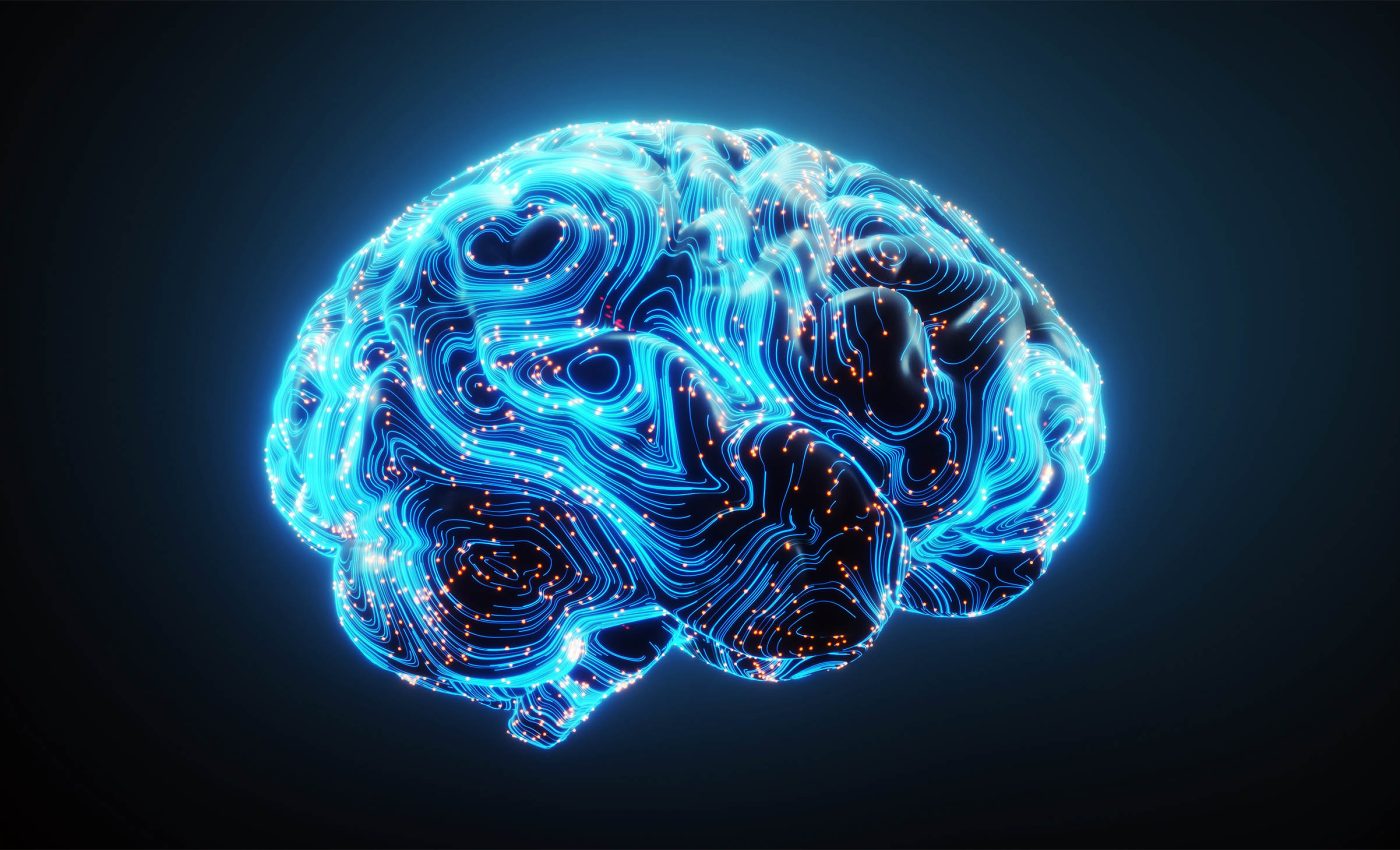 Humans may be born with preconfigured brains that help us understand the world