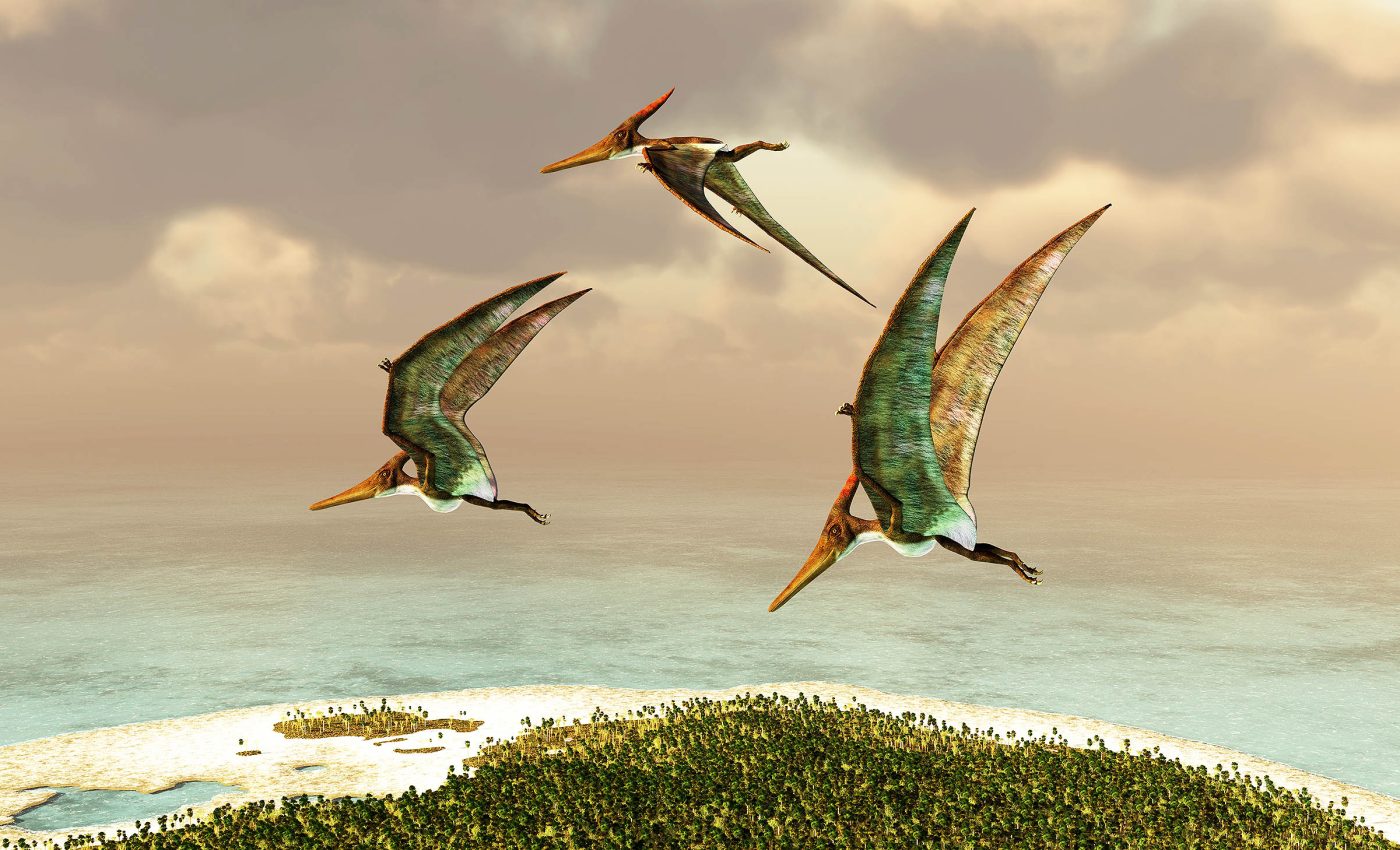 Pterosaurs evolved flight with surprisingly small brains