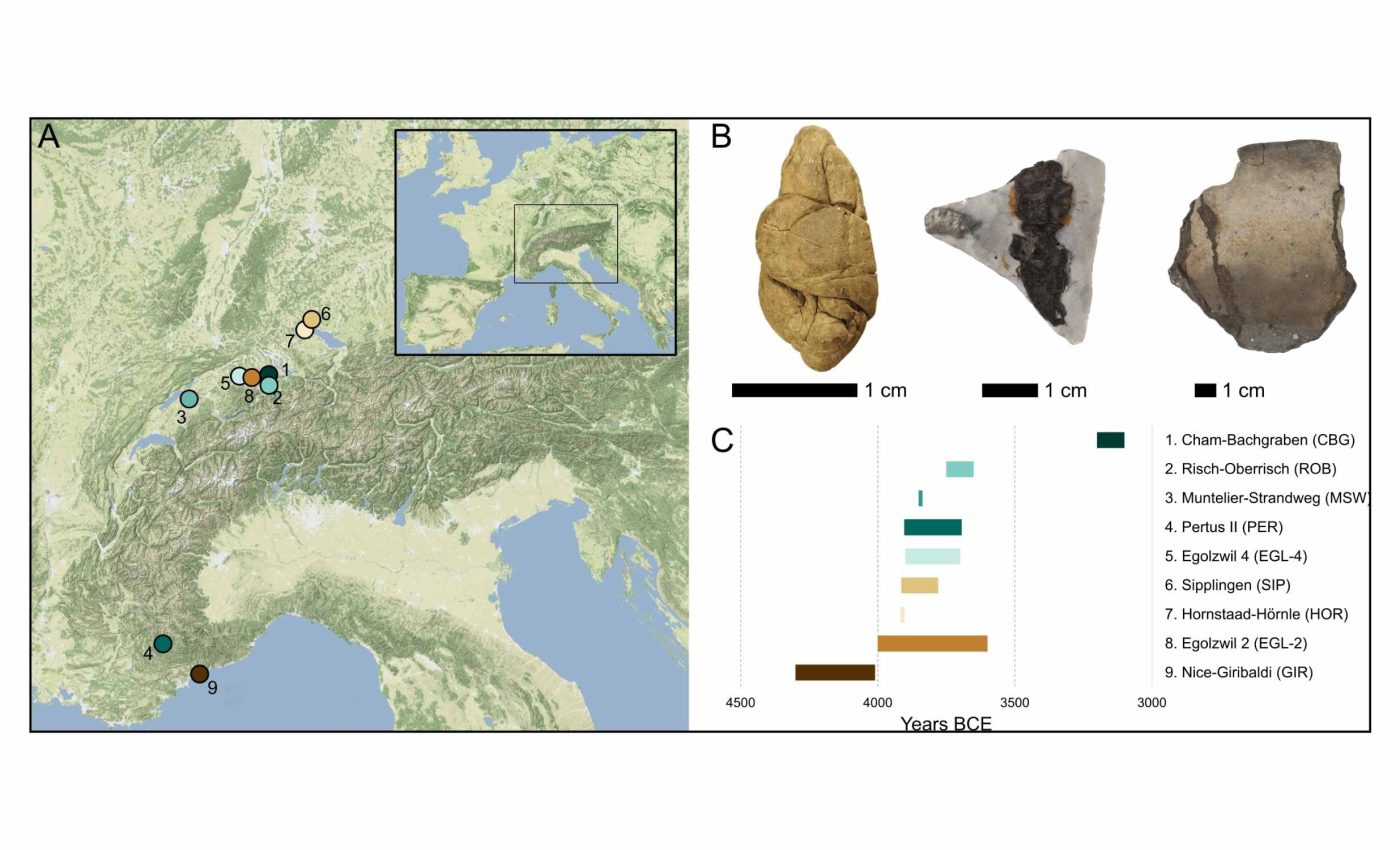 6,000-year-old piece of chewing gum is discovered in the Alps