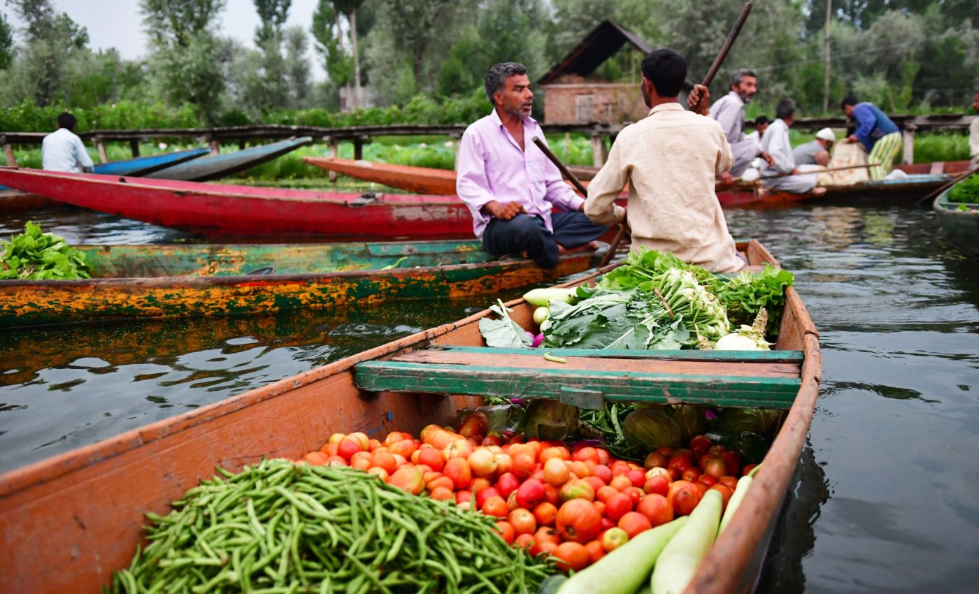 Urban blue spaces quietly feed millions across India’s biggest cities