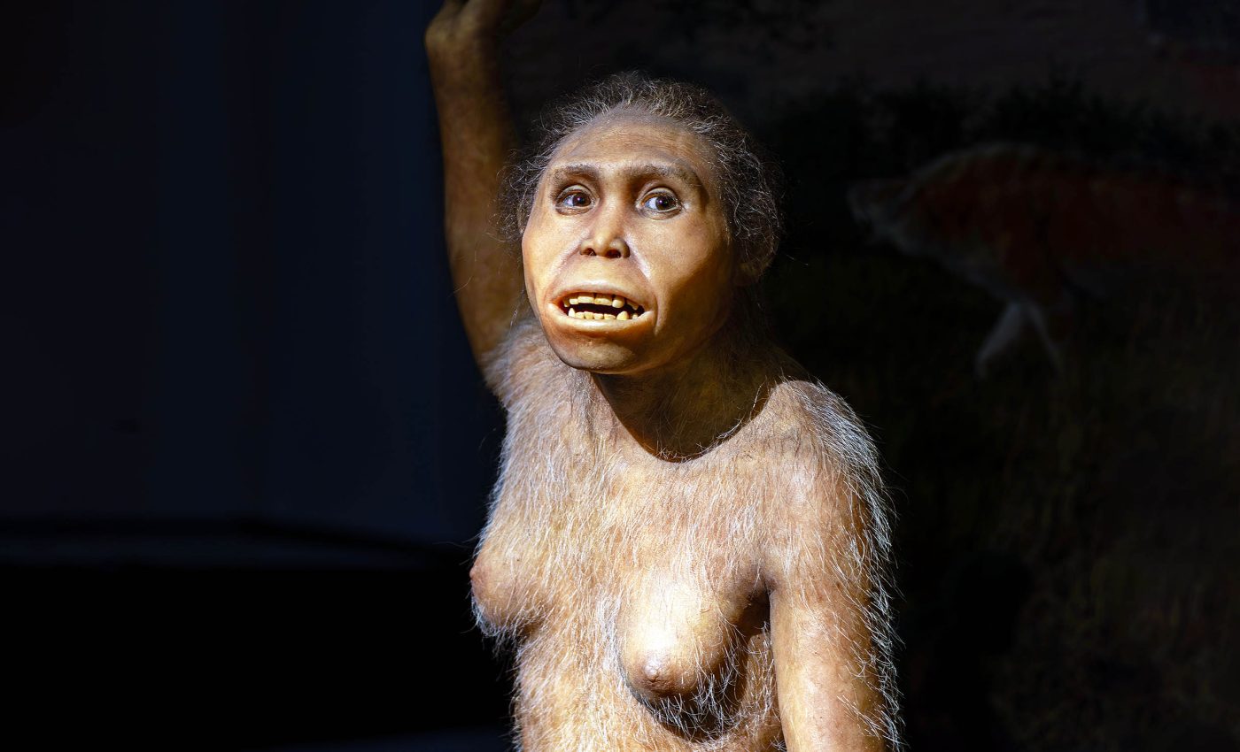 Fossil discovery reveals two human ancestor species lived together 3.4 million years ago