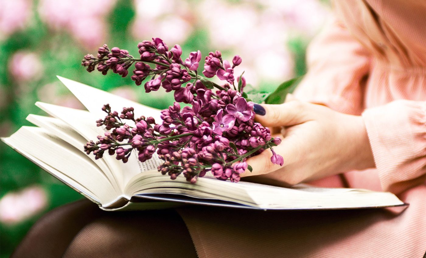 Words that sound 'nice' or 'sweet' are easier to remember