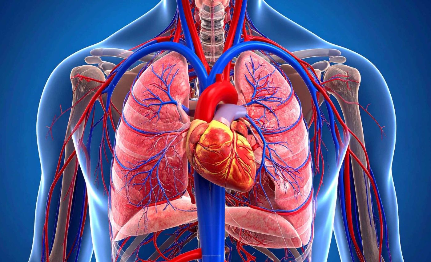 40-year-old drug is back in the spotlight after yielding unexpected results