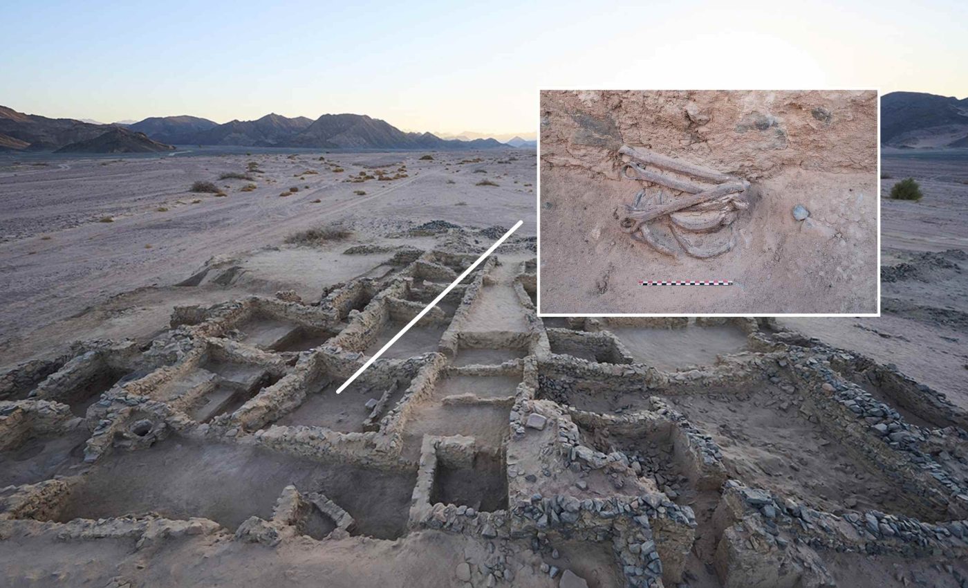 Oldest shackles ever found in the Mediterranean were in Egypt