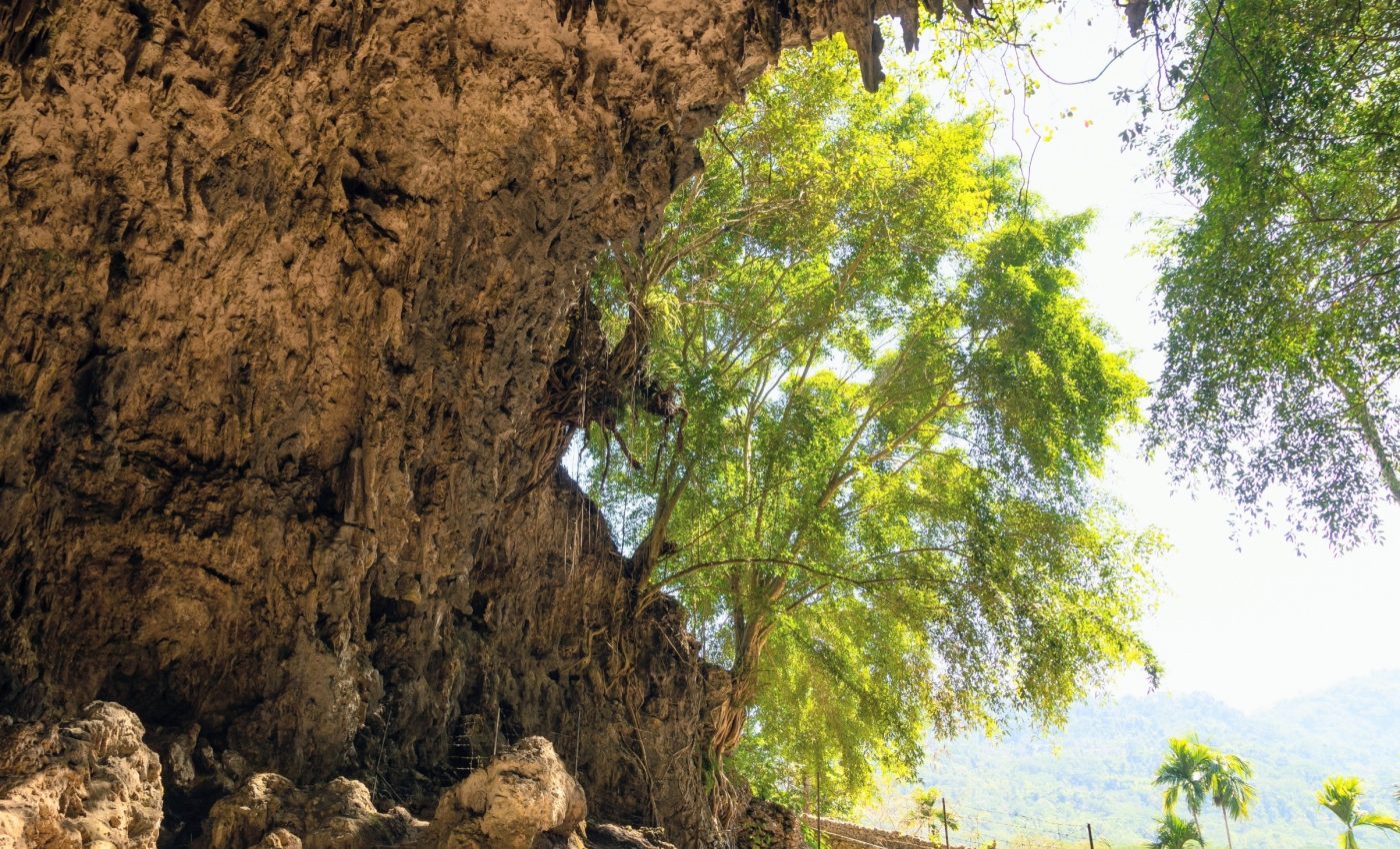 Why did the hobbits disappear? New evidence points to a clear answer