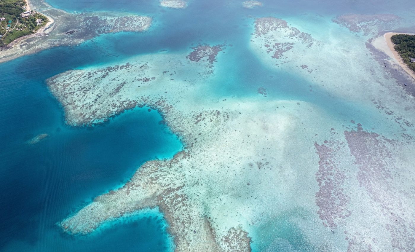 Coral reefs are much more resilient when they're connected