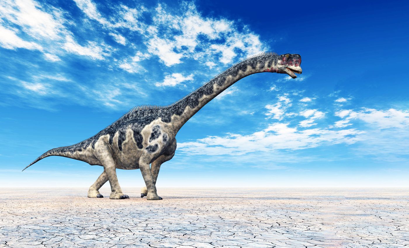 Forgotten fossil turns out to be a new species of giant dinosaur
