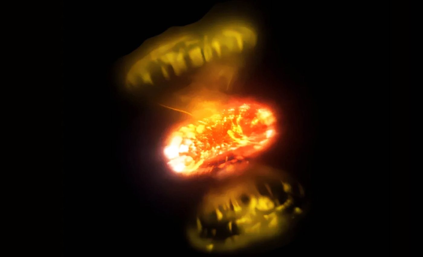 Stunning images reveal how stellar eruptions really unfold