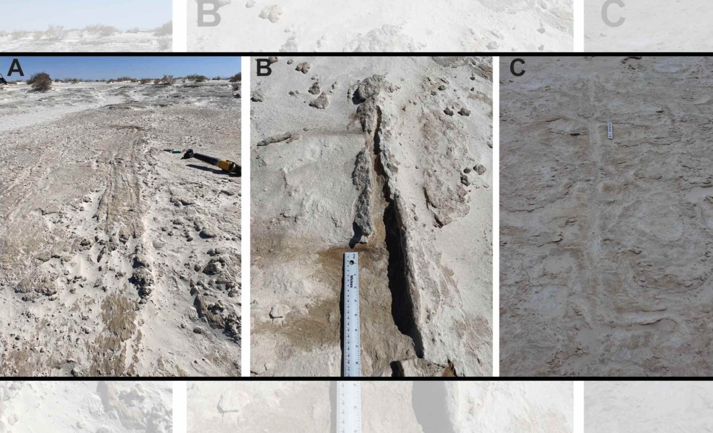 Human footprints, parallel tracks, and a 22,000-year-old mystery