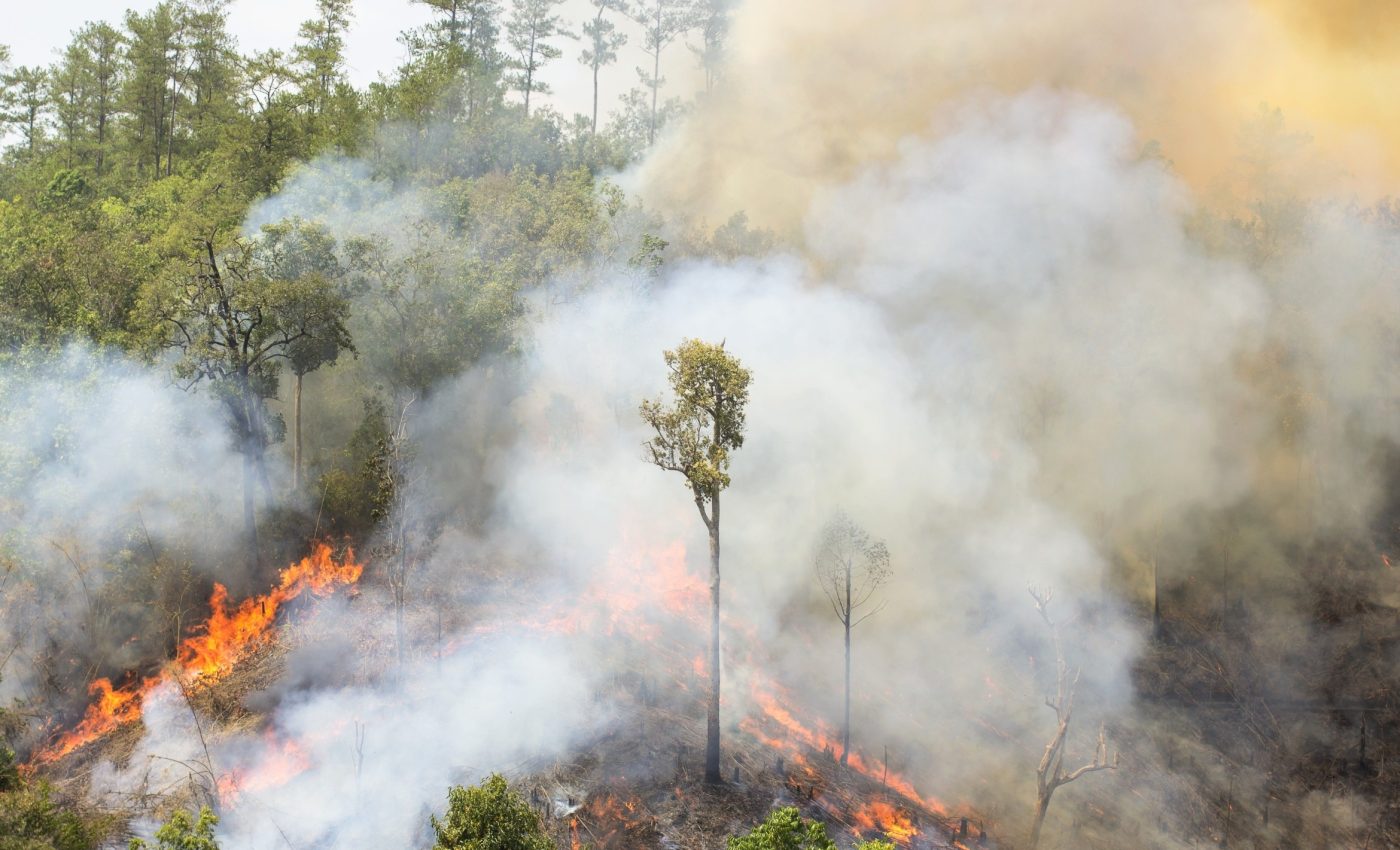 Hypertropics: The Amazon is crossing into a dangerous climate state