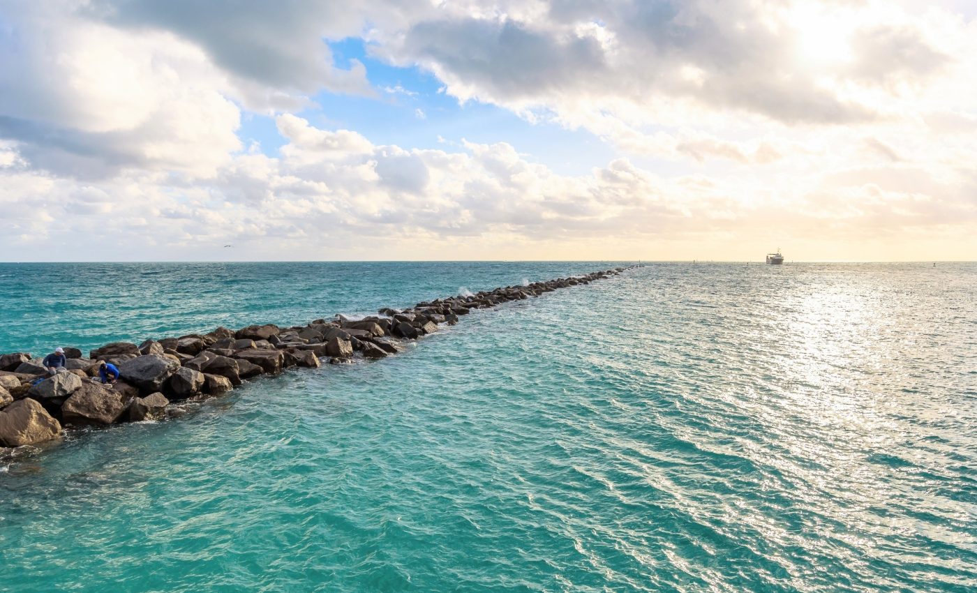 Ocean microbes find ways to survive nutrient scarcity