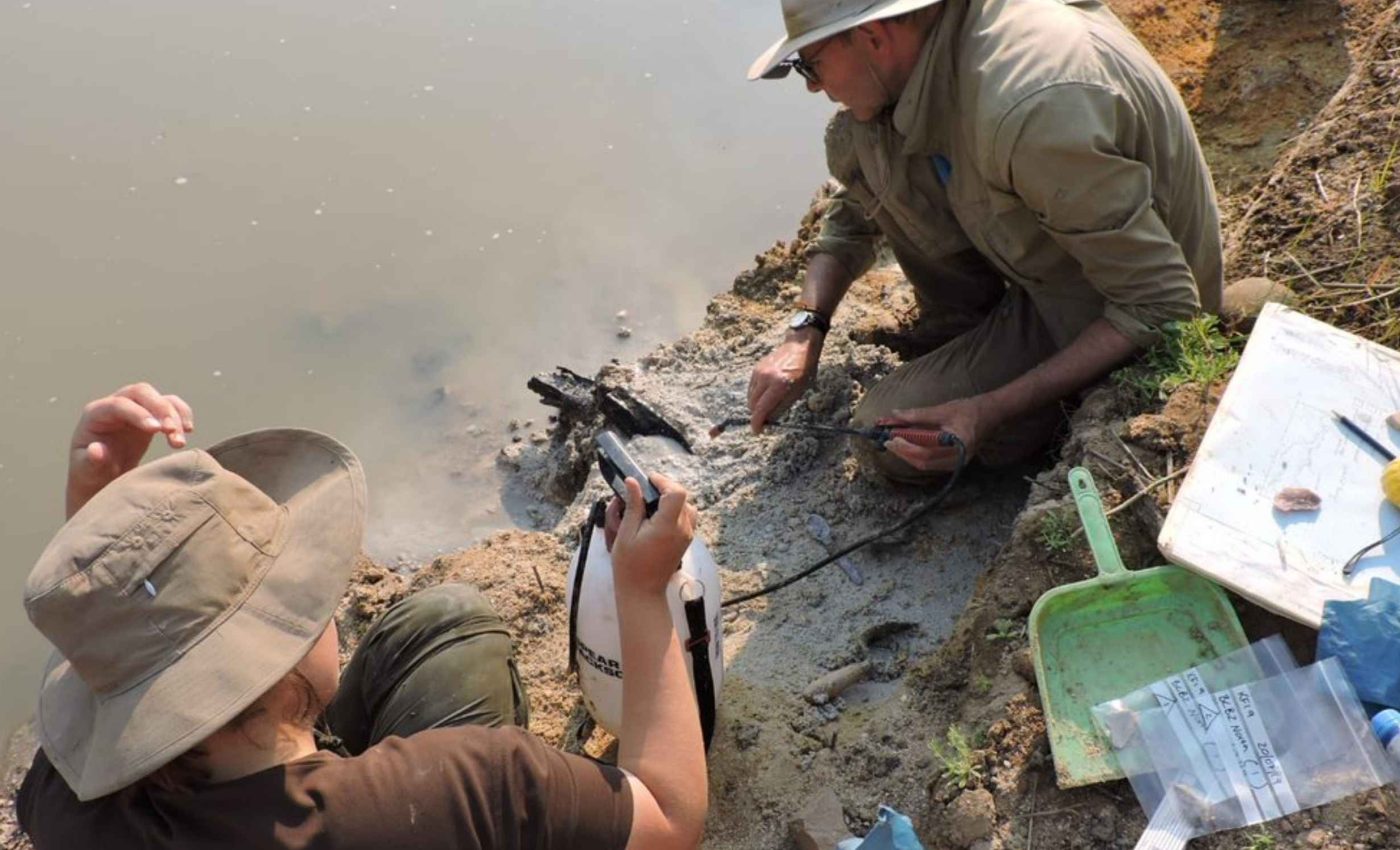 Wooden structure discovered that was built 300,000 years before Homo sapiens