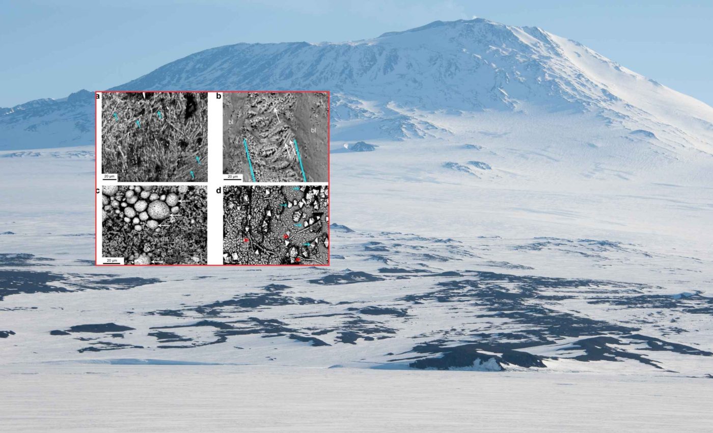 Enormous 68-million-year-old egg nicknamed 'The Thing' is excavated in Antarctica
