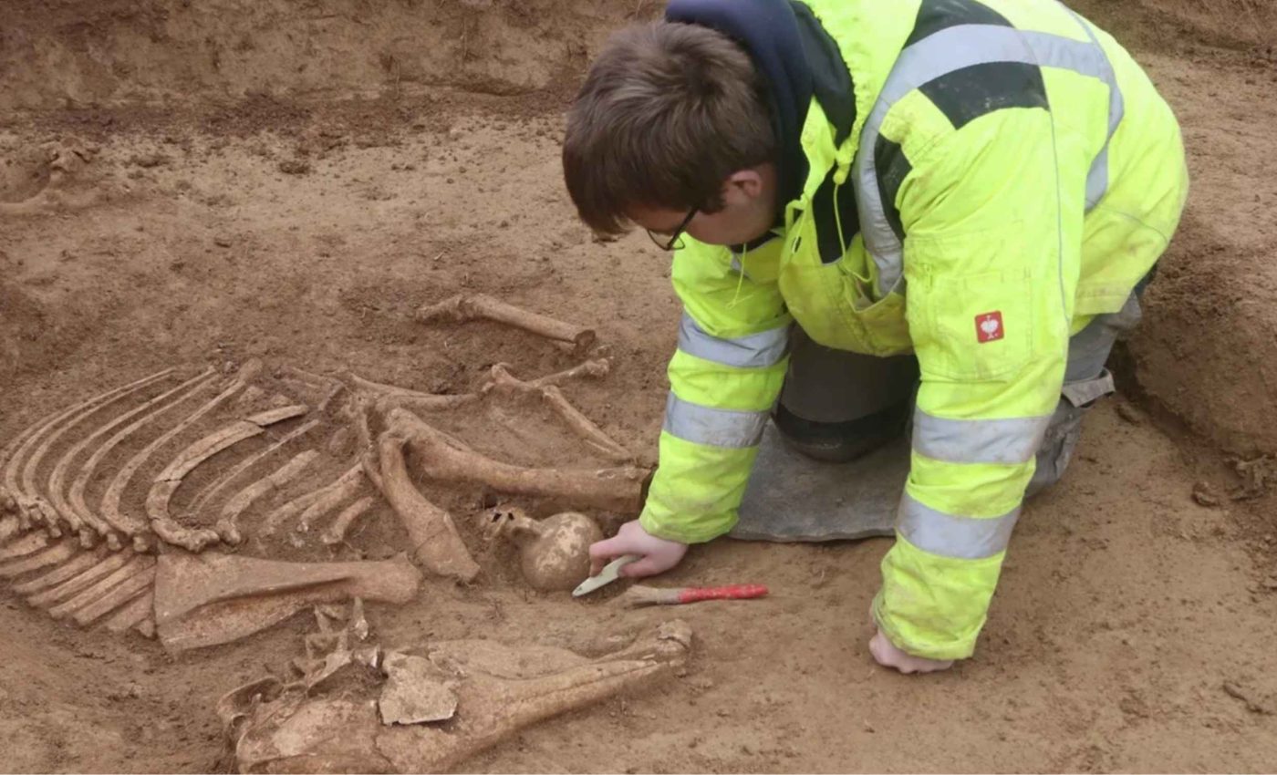 Over 100 Roman warhorses found buried alongside an unknown man