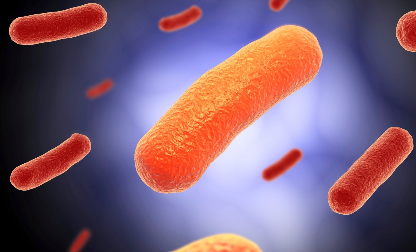 Microbes long seen as threats may actually help our health