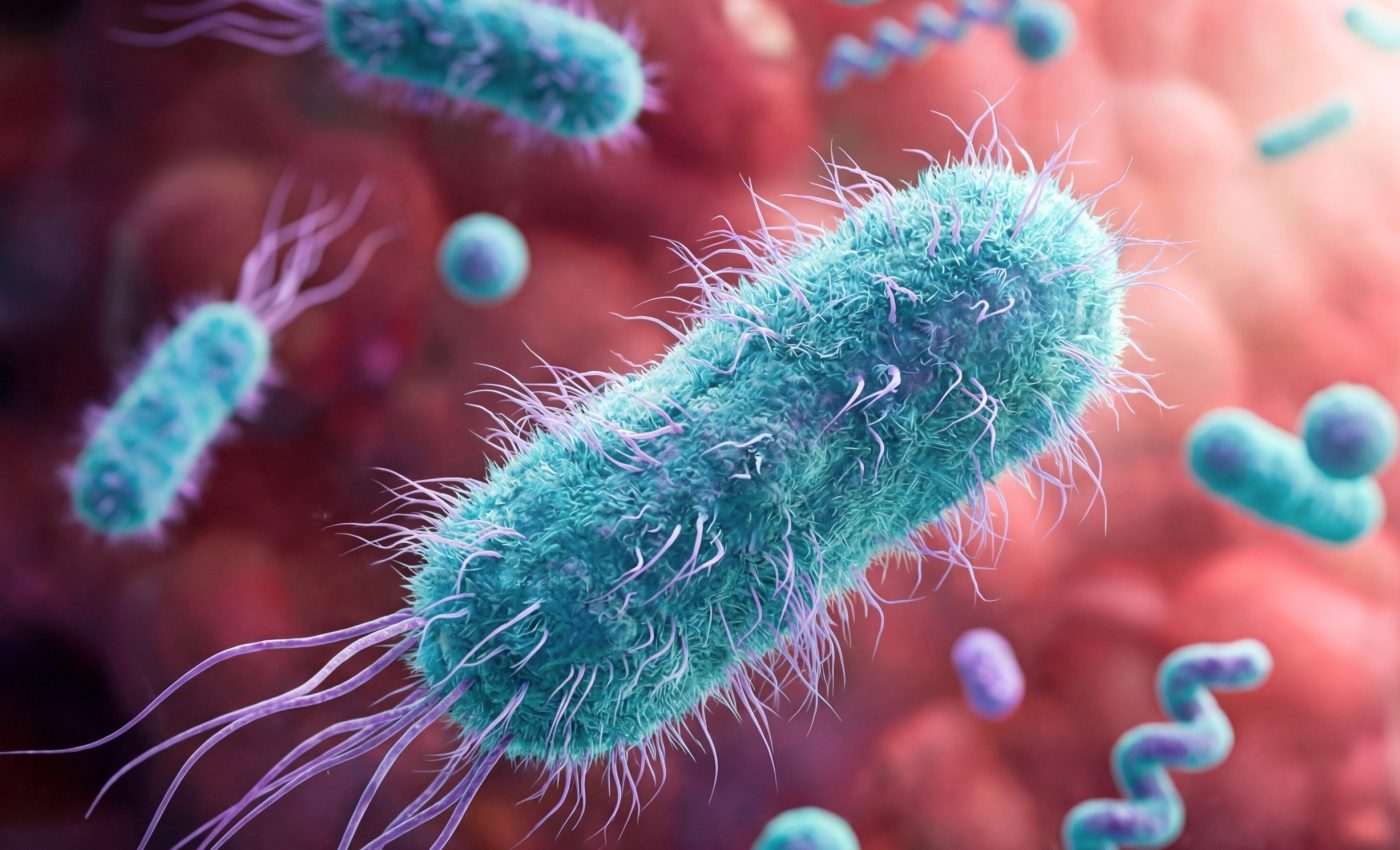 Bacteria self-destruct to defeat invading viruses before they spread