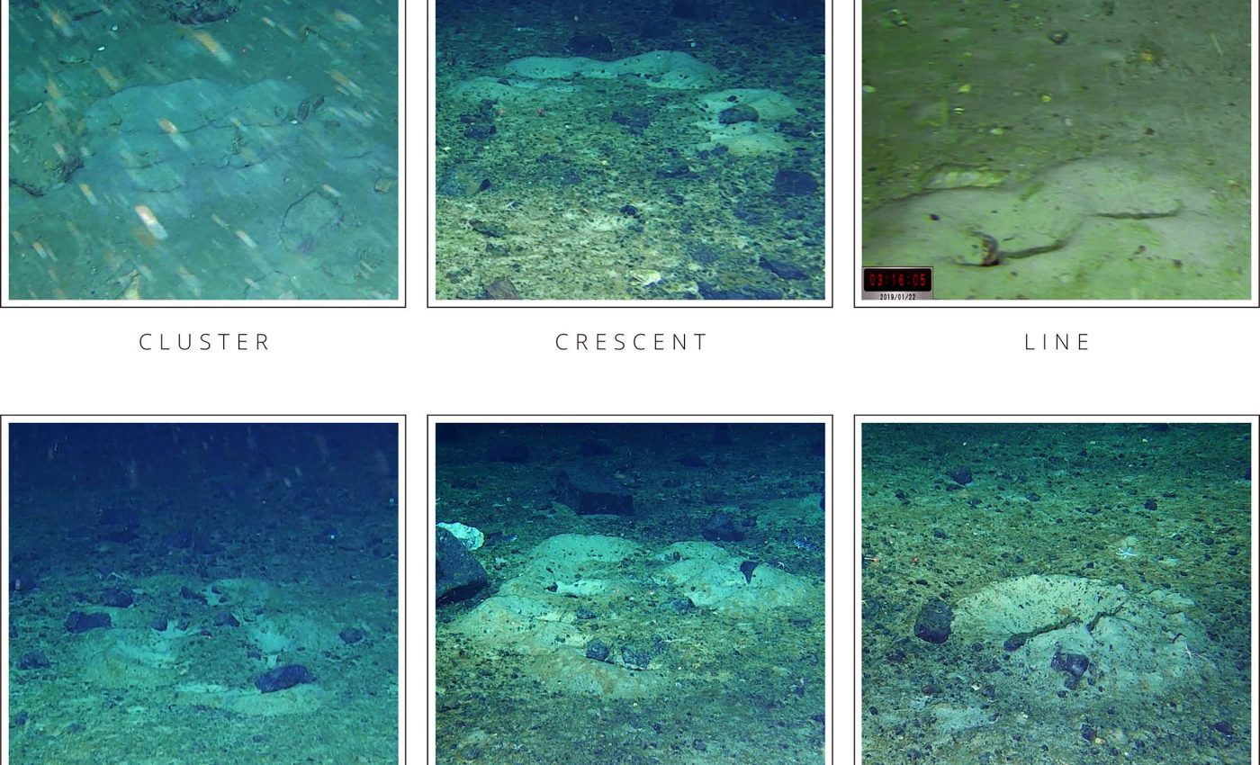 Scientists make a surprising discovery while searching for a shipwreck in Antarctica